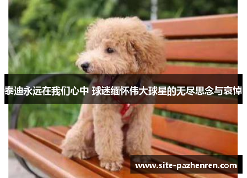 泰迪永远在我们心中 球迷缅怀伟大球星的无尽思念与哀悼