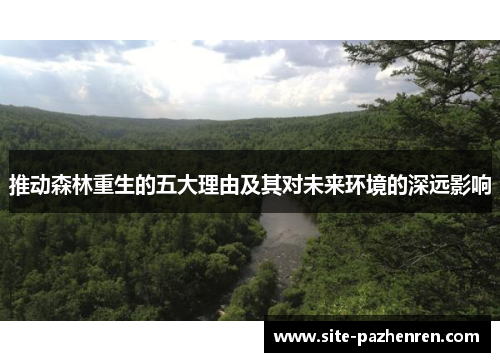 推动森林重生的五大理由及其对未来环境的深远影响