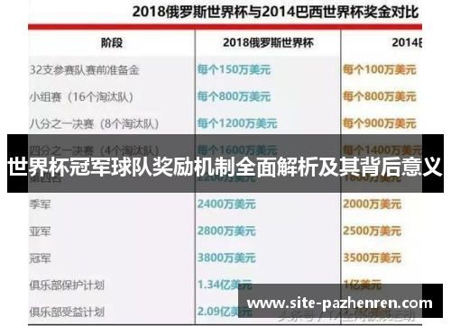 世界杯冠军球队奖励机制全面解析及其背后意义