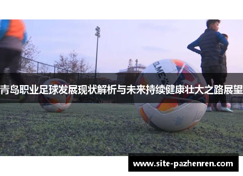 青岛职业足球发展现状解析与未来持续健康壮大之路展望
