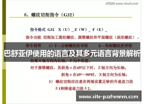 巴舒亚伊使用的语言及其多元语言背景解析