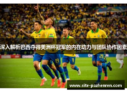 深入解析巴西夺得美洲杯冠军的内在动力与团队协作因素