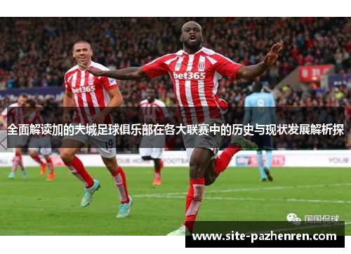 全面解读加的夫城足球俱乐部在各大联赛中的历史与现状发展解析探 全面解读加的夫城足球俱乐部在各大联赛中的历史与现状发展解析探