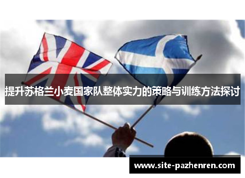提升苏格兰小麦国家队整体实力的策略与训练方法探讨 提升苏格兰小麦国家队整体实力的策略与训练方法探讨