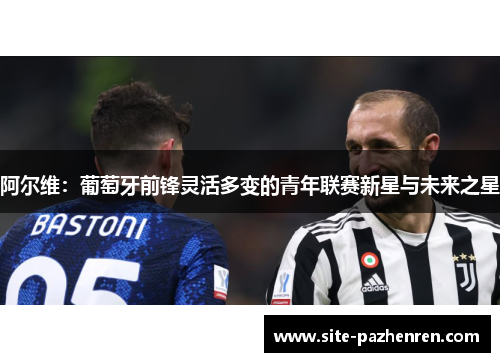 阿尔维：葡萄牙前锋灵活多变的青年联赛新星与未来之星